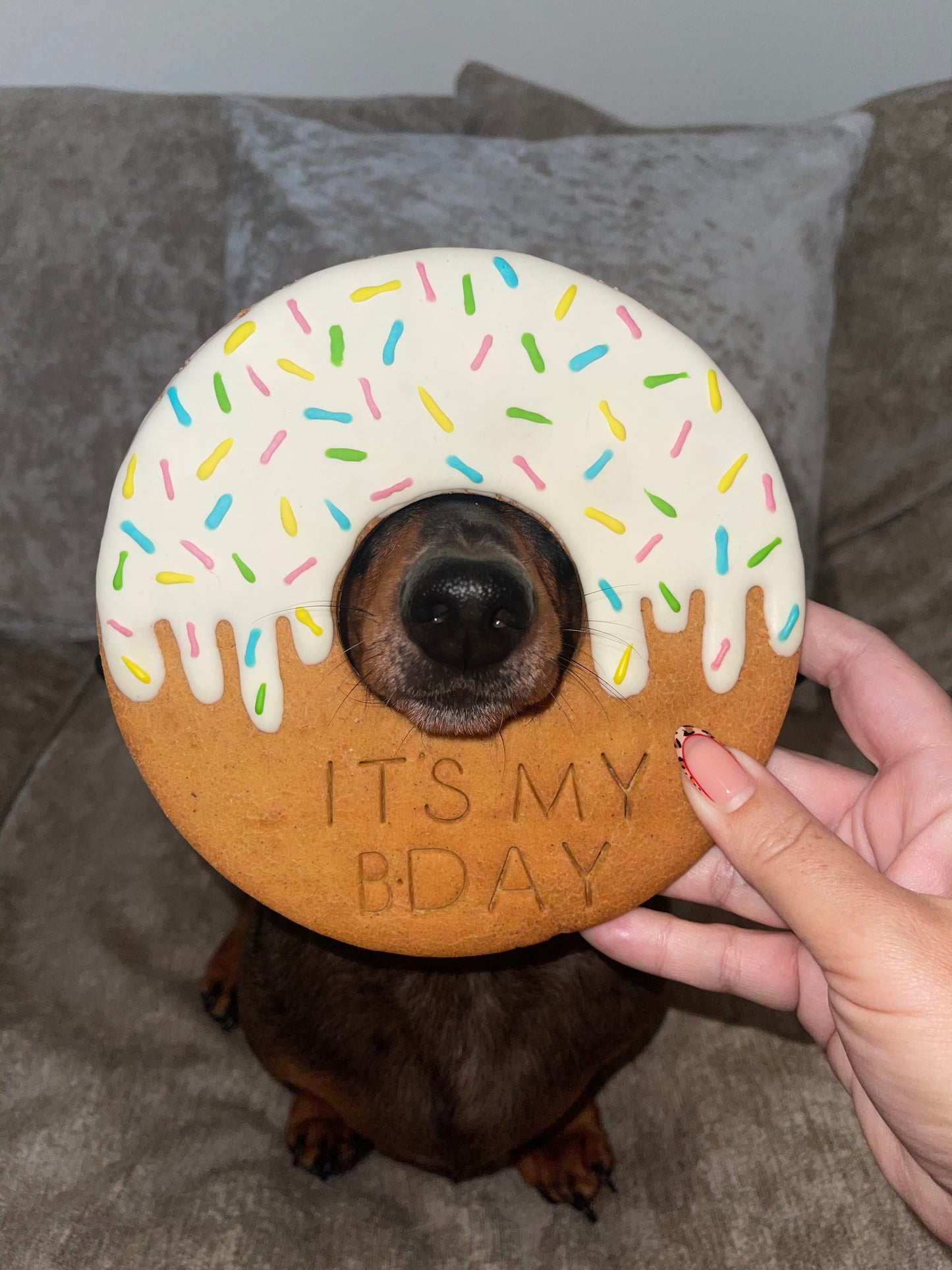 Giant Iced Donut