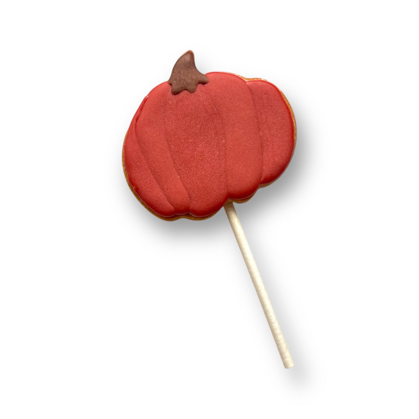 Pumpkin- Pop
