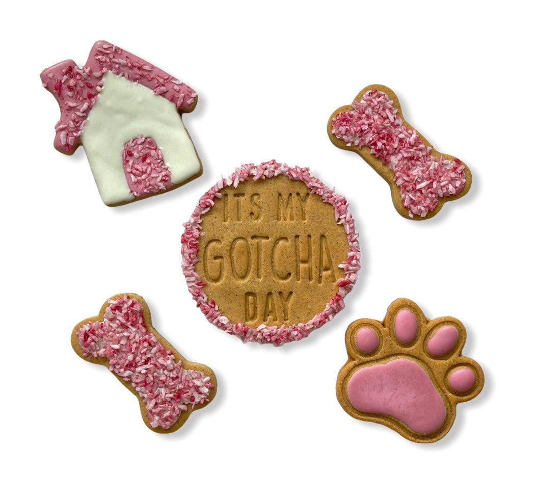 Gotcha Day Treat Set
