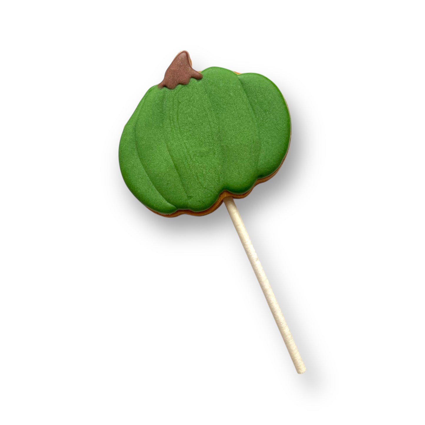 Pumpkin- Pop
