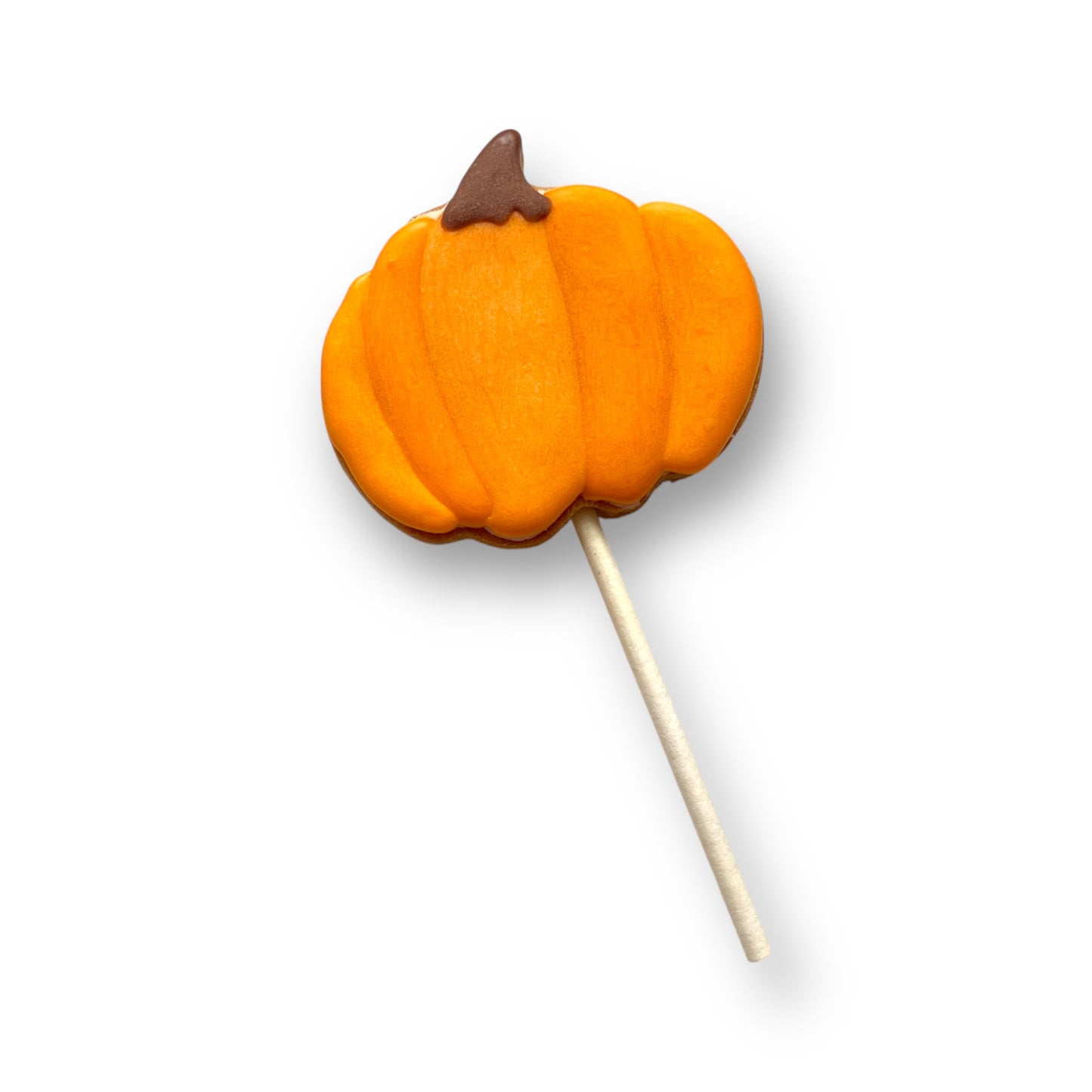 Pumpkin- Pop